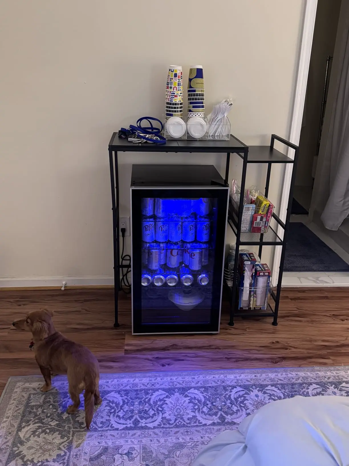 Mini frigider vin și băuturi 90 L, fotografie client